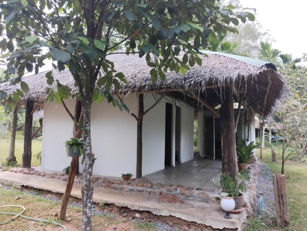 Baan Farang Homestay Phra Saeng Ban Nam Dam Zewnętrze zdjęcie