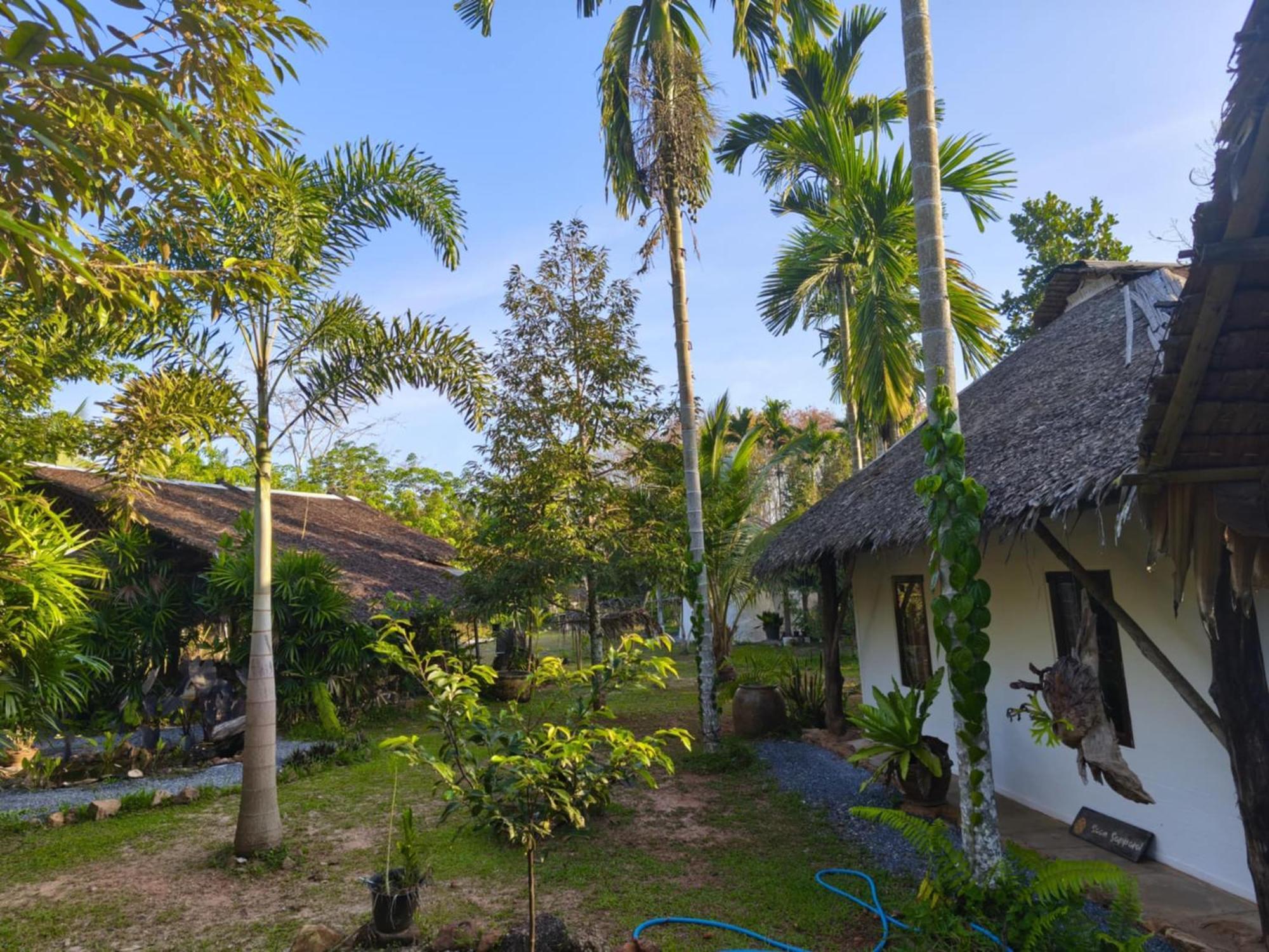 Baan Farang Homestay Phra Saeng Ban Nam Dam Zewnętrze zdjęcie